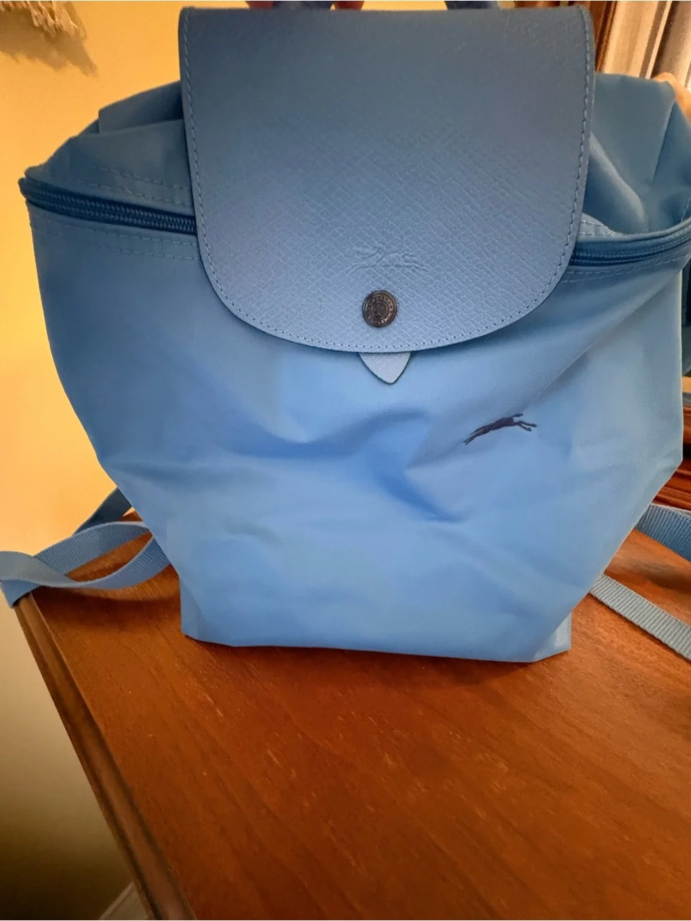 Longchamp light blue nylon backpack with flap